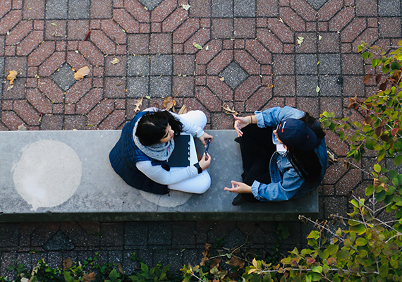 Undergraduate Admissions Transfer Students Two Gies students sit on a bench under a tree to have a discussion.